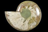 Wide Polished Fossil Ammonite Dish #133250-1